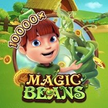 FaChai Magic Beans